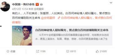 沾化出轨爆料案件最新,真相揭露，法律制裁并行